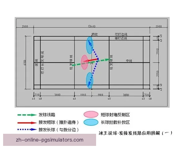 羽毛球技战术解析及应用指南