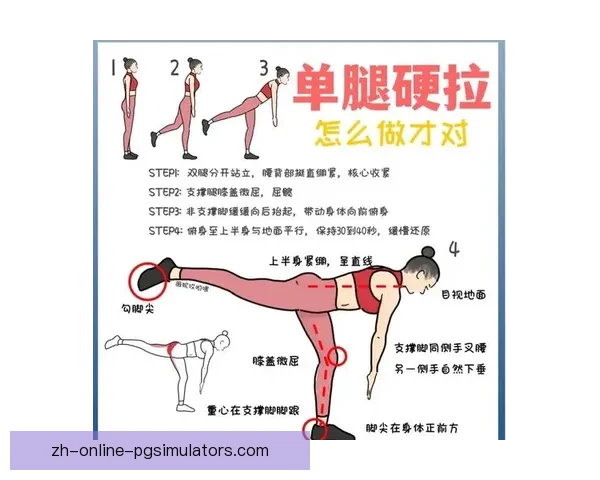 健身入门：打造完美身体的必备指南