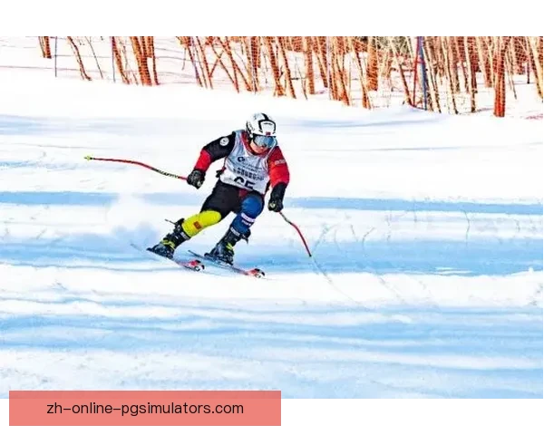 从零开始的滑雪技能指南