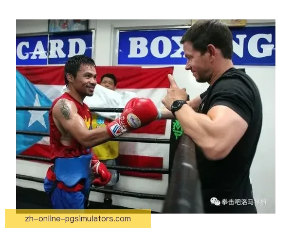 全球热门拳击赛事直播大揭秘，揭示体育界巨星实力巅峰一战