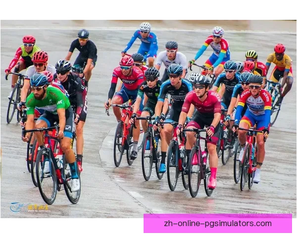 全球自行车赛事：速度与激情