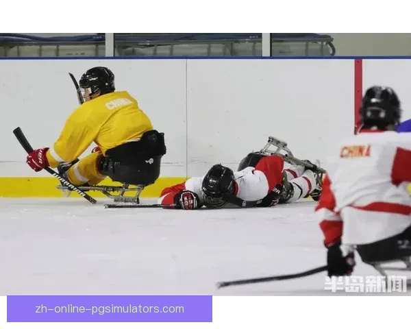 冰球训练全方位解析：技术、策略、体能一网打尽