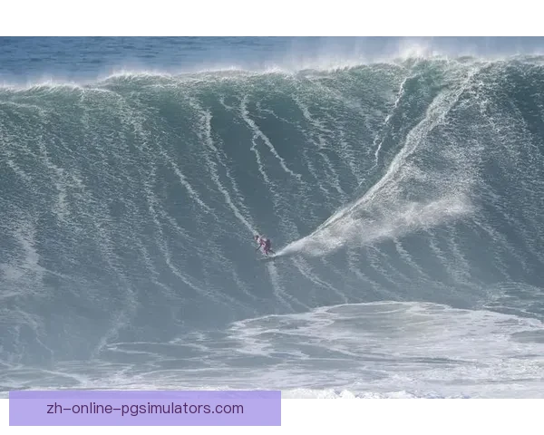 探寻冲浪界的极限之路：挑战冲浪世界纪录