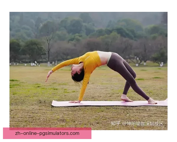 瑜伽的起源与发展：一部史诗般的凝视