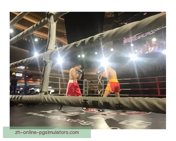 激情碰撞！终极拳击盛宴火热开启