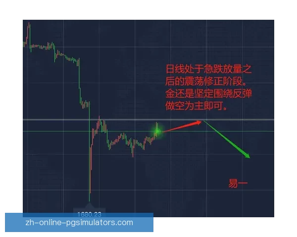 跳水运动数据分析：技术要点与比赛策略解析
