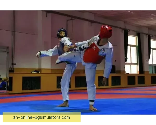 跆拳道比赛精彩瞬间：胜者王者，败者收获，风起云涌！