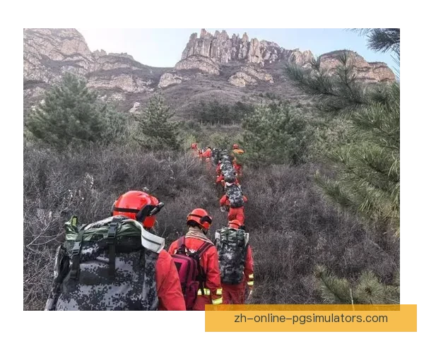 高效登山训练技巧分享